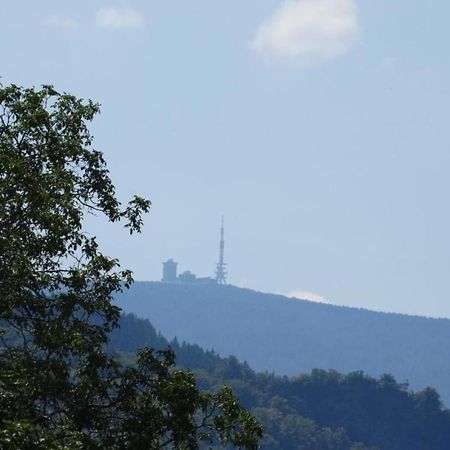 Classic Holiday Home In The Harz Mountains Ilsenburg Ngoại thất bức ảnh